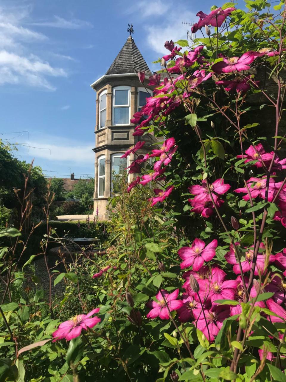 Holywell House B & B Evershot  Eksteriør billede