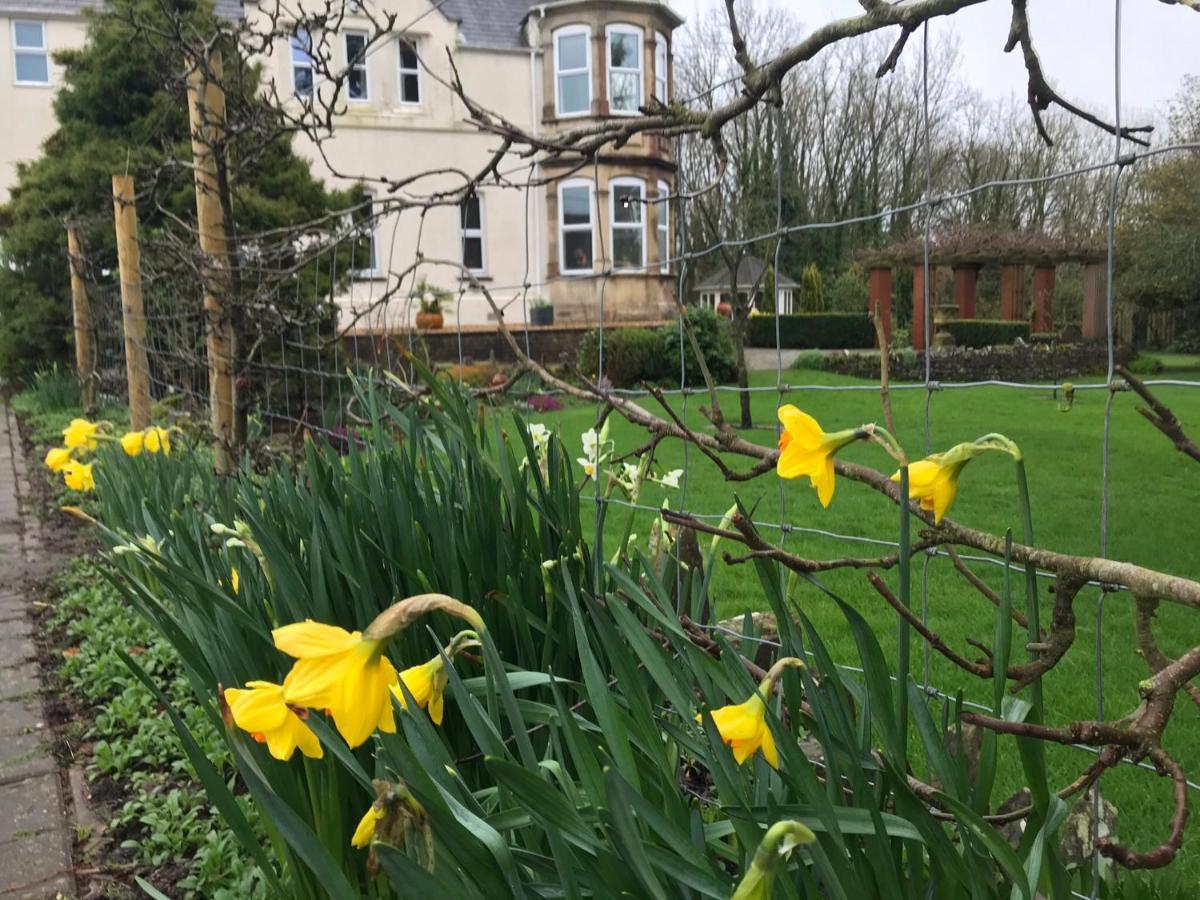 Holywell House B & B Evershot  Eksteriør billede